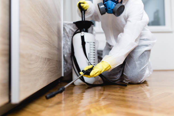 Best Pest Prevention Services  in Piney, AR