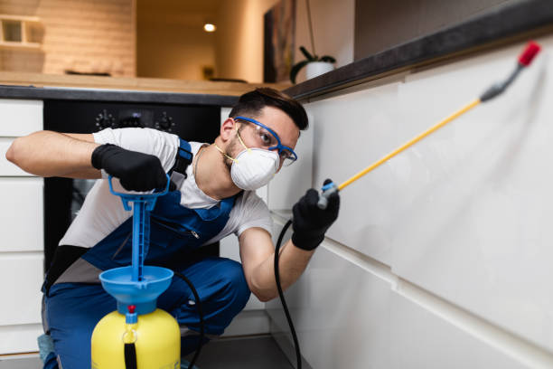 Best Pest Removal Services  in Piney, AR