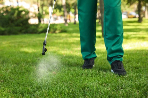Best Termite Control Services  in Piney, AR